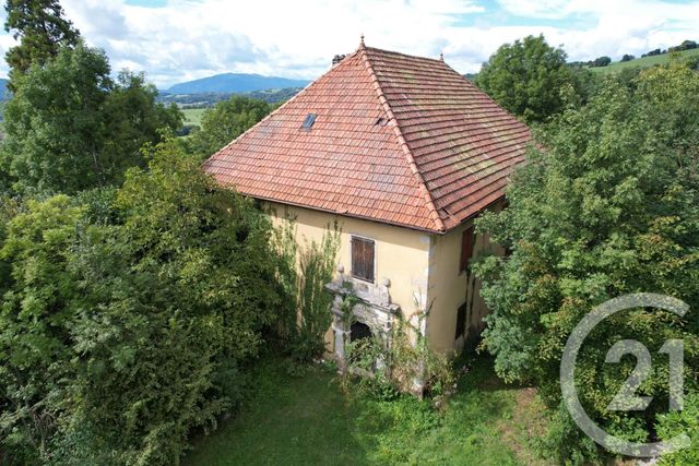 Maison à vendre - 14 pièces - 294 m2 - Copponex - 74 - RHONE-ALPES