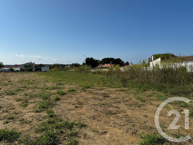 Terrain à vendre - 300 m2 - Brem Sur Mer - 85 - PAYS-DE-LOIRE