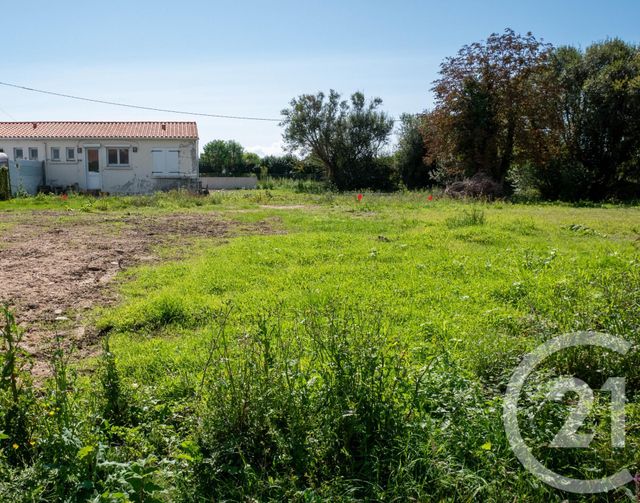 terrain - BRETIGNOLLES SUR MER - 85