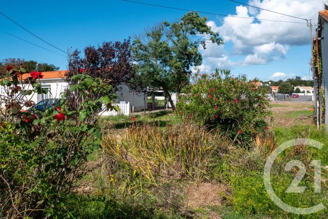 terrain - BRETIGNOLLES SUR MER - 85