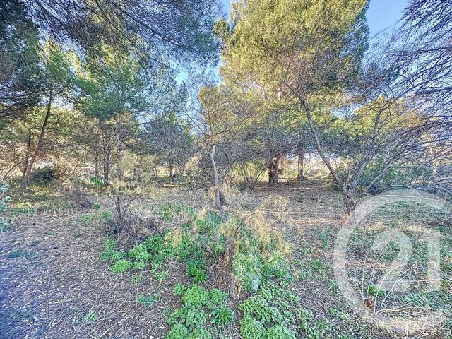 Terrain à vendre - 4550 m2 - Vias Plage - 34 - LANGUEDOC-ROUSSILLON