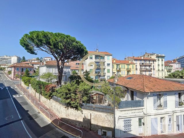 appartement - CANNES - 06