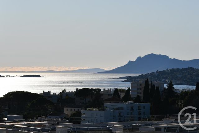 appartement - ANTIBES - 06