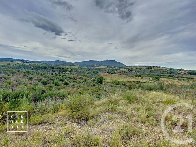 Terrain à vendre - 11802 m2 - Millas - 66 - LANGUEDOC-ROUSSILLON