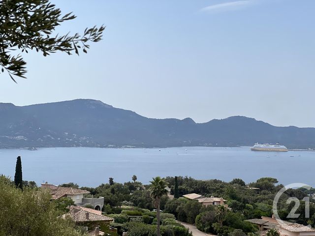 maison - PORTO VECCHIO - 201