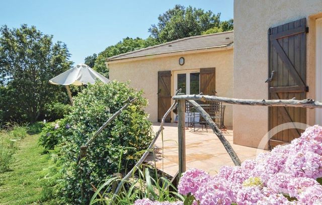 Maison à vendre - 5 pièces - 124 m2 - Sisco - 202 - CORSE