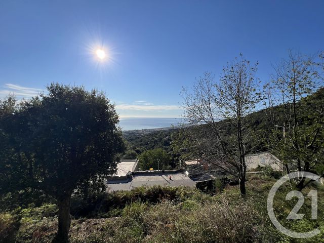 Terrain à vendre - 1500 m2 - Bastia - 202 - CORSE