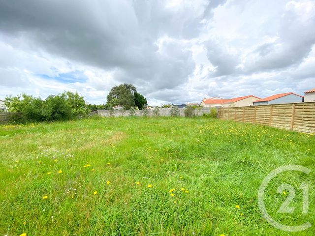 terrain - L ILE D OLONNE - 85