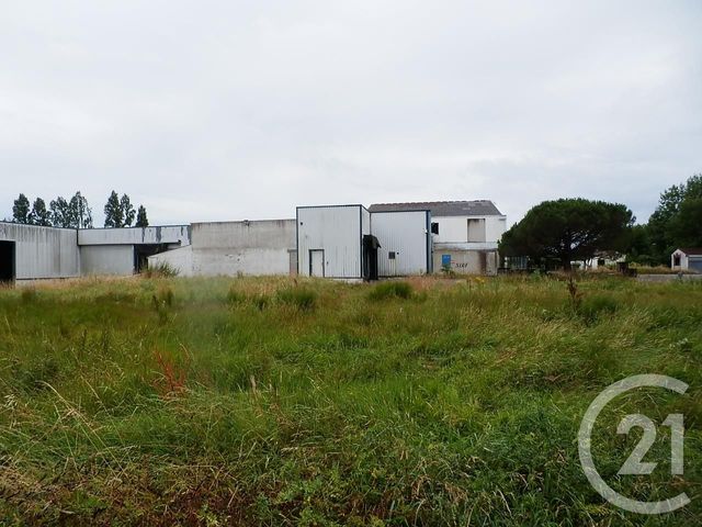 Murs à vendre à vendre - 10350.0 m2 - 85 - Vendee