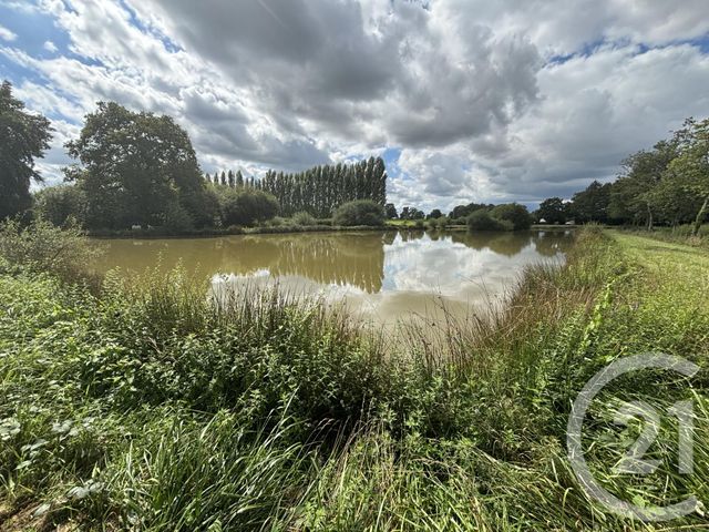 Terrain à vendre - 13343 m2 - Courbeveille - 53 - PAYS-DE-LOIRE