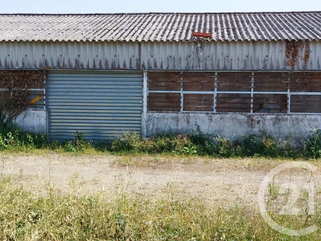 Murs à vendre à vendre - 80.0 m2 - 31 - Haute-Garonne