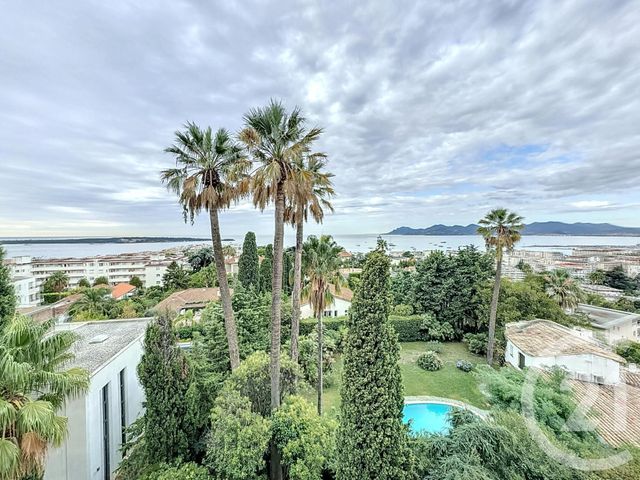 appartement - CANNES - 06