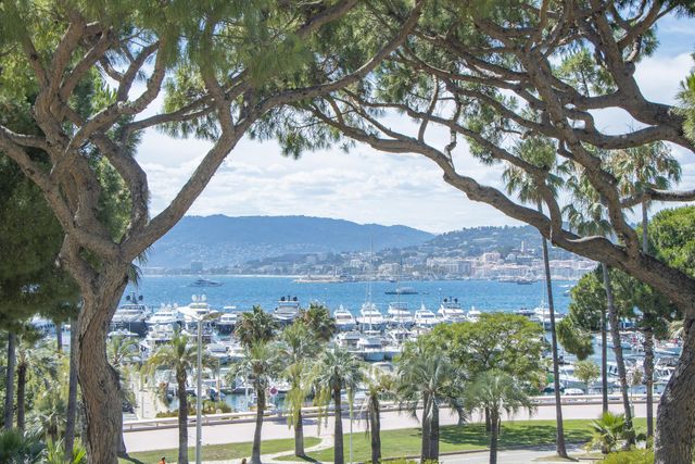 Appartement F4 à vendre CANNES